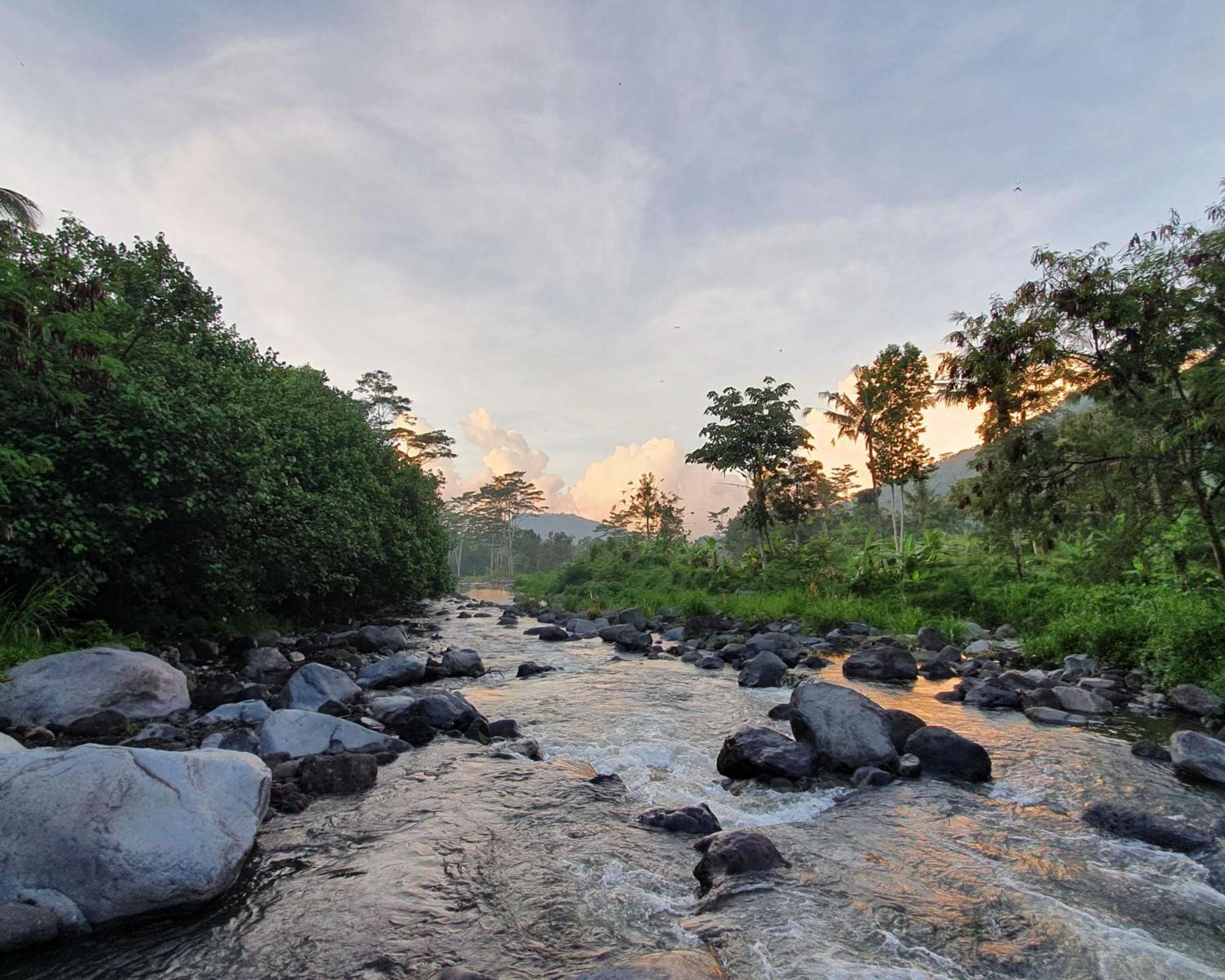 Darmada Eco Resort ซิเดอมัน ภายนอก รูปภาพ