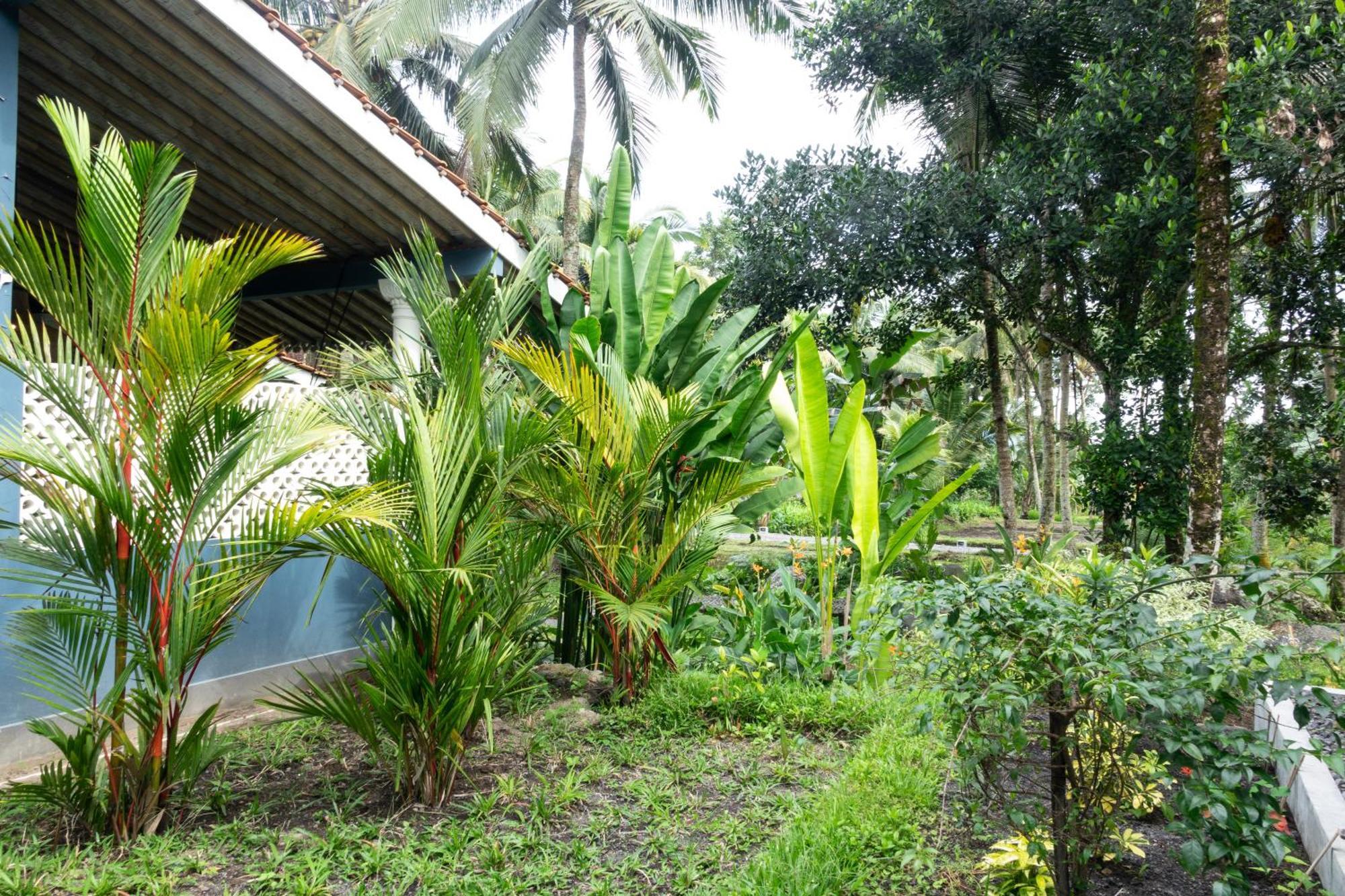 Darmada Eco Resort ซิเดอมัน ภายนอก รูปภาพ